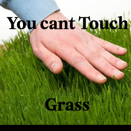 You can't touch Grass(100K🎉) cover