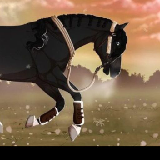 Riding a horse! Come and RIDE! cover