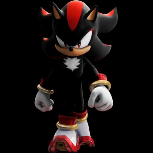 shadow the hedgehog land cover