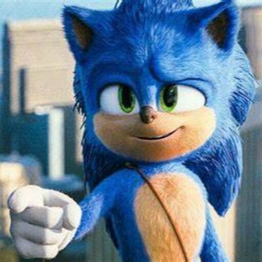 Sonic The hedgehog: Emerald-Hunting cover