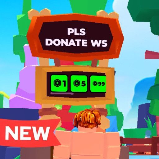 💸 PLS DONATE WS cover