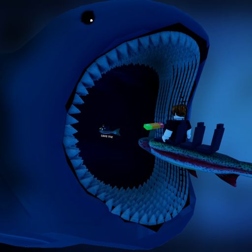 Fish Ride Into Bloop!🦈 cover