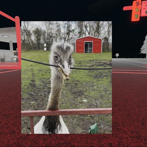 Kill The Mythical Bird cover