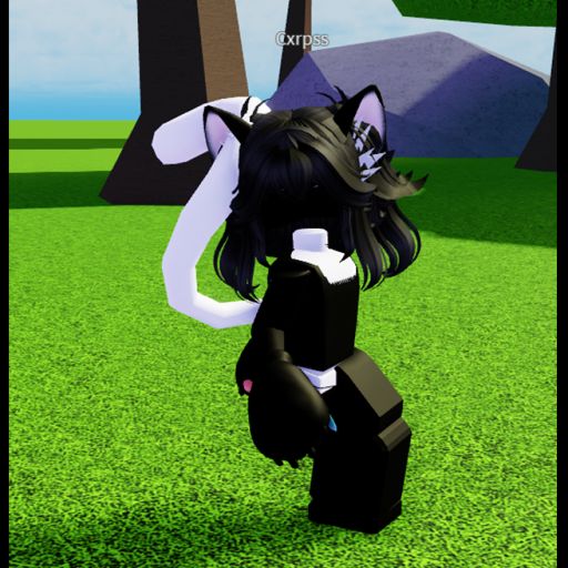 Cat Tail Hangout cover