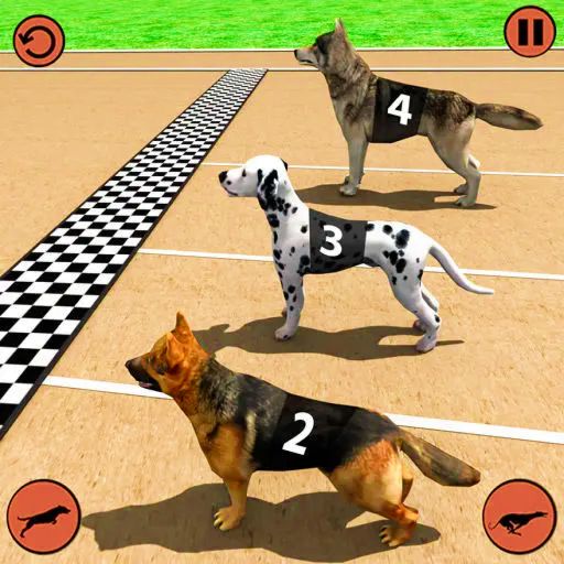 Pet Race cover