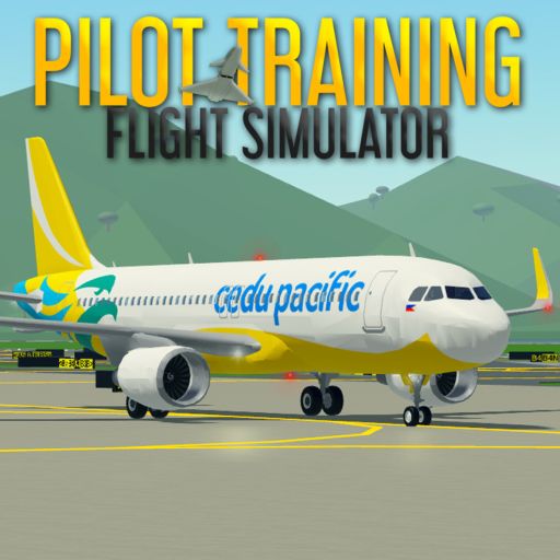 Pilot Training Flight Simulator cover