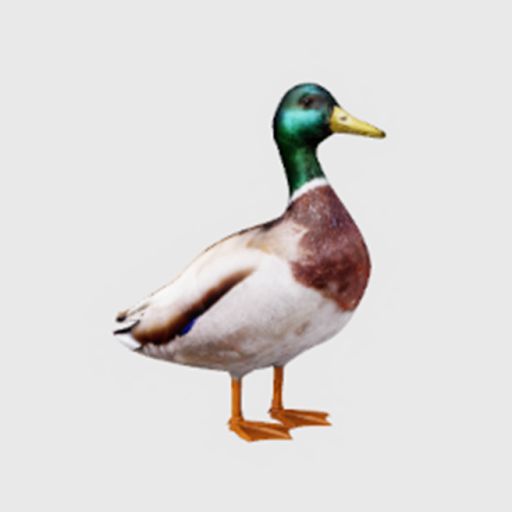Duck Spinning To Geometry Dash Practice Mode Song cover