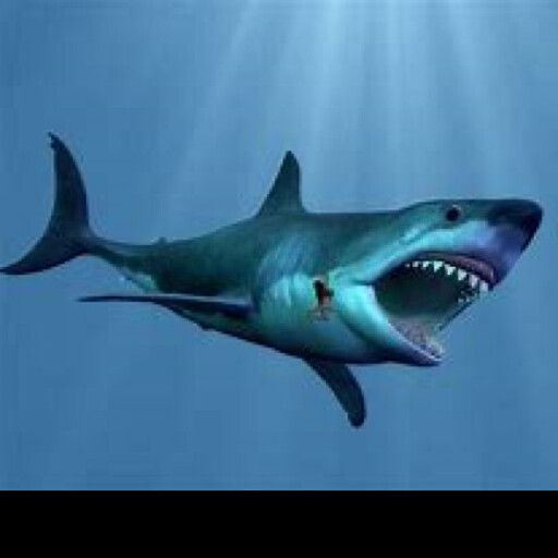 SCP-7890 [Shark] cover