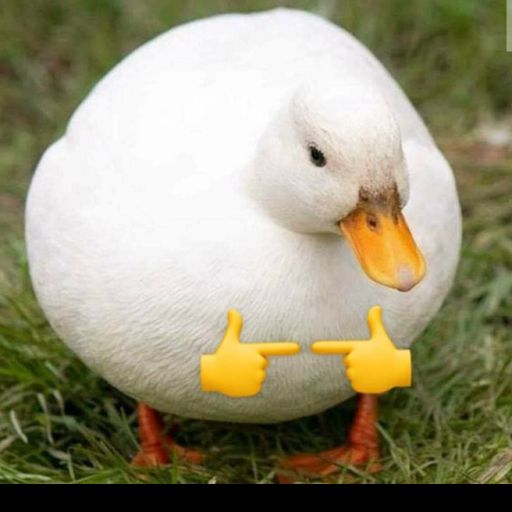 [67] shuba duck cover