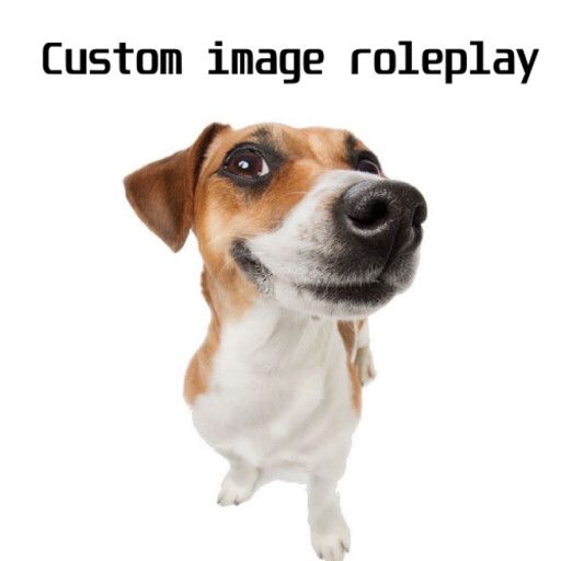 [new music] Custom Image Roleplay [WIP] cover