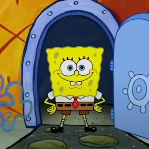 SPONGEBOBS SUMMER OF FUN cover