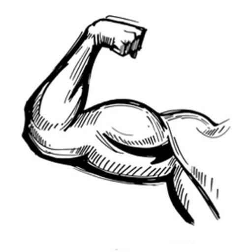 Muscle Department cover