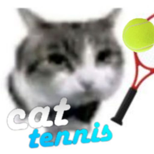 cat tennis 🎾 [vr support] cover