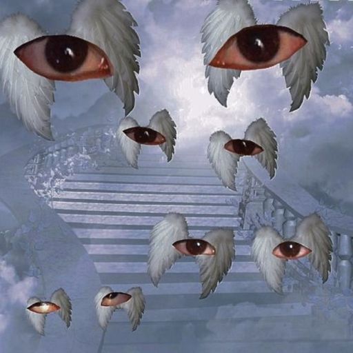 Dreamcore \ Weirdcore trip cover