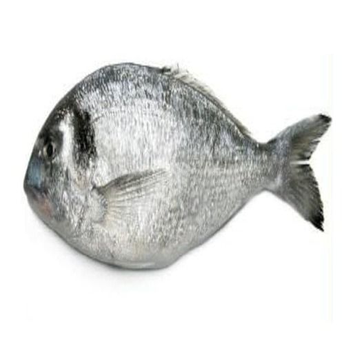 Be a One Pound Fish🐟 cover