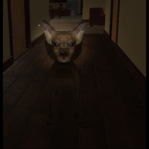 Creepy Dog cover